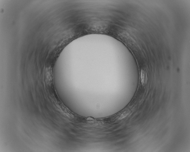 X0000088641107200706081605