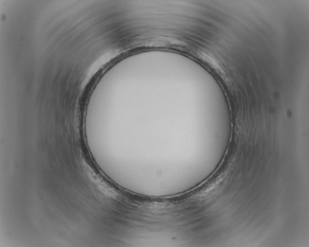 X0000088641122200706081605