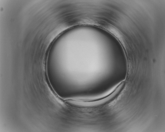 X0000088641141200706081605