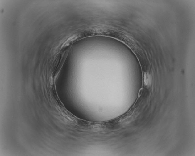 X0000088641155200706081605