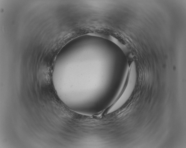 X0000088641156200706081605