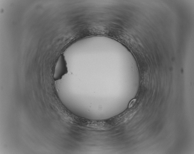 X0000088641201200706081603
