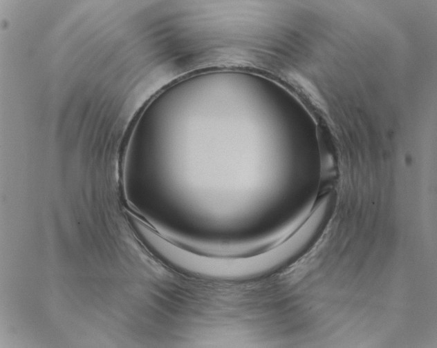 X0000088641226200706081604