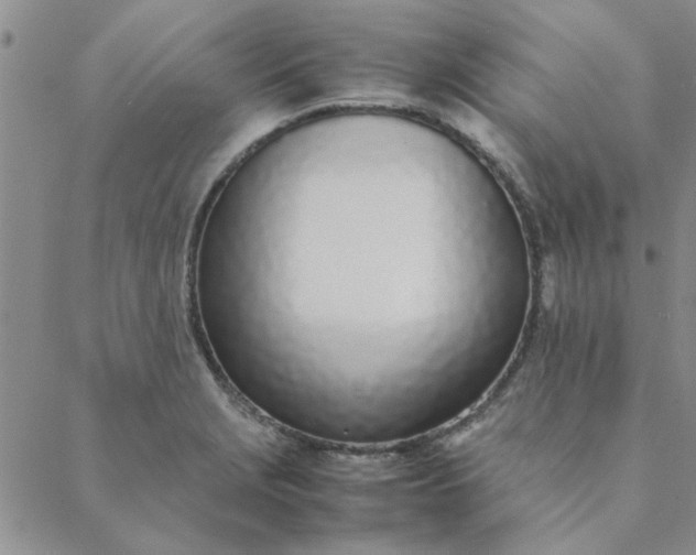 X0000088641229200706081604