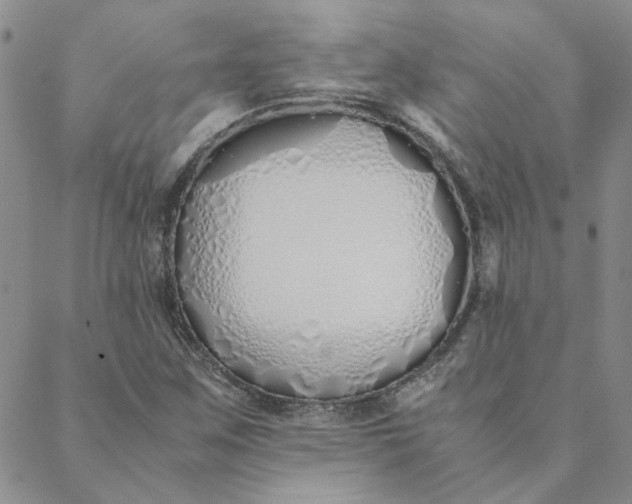 X0000088641259200706081603