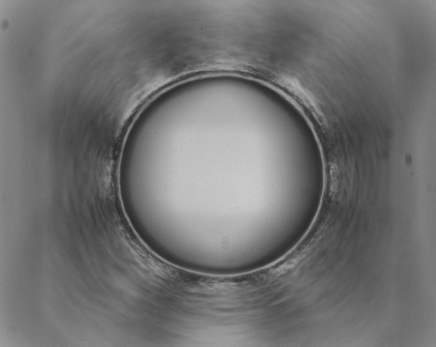 X0000088641260200706081603