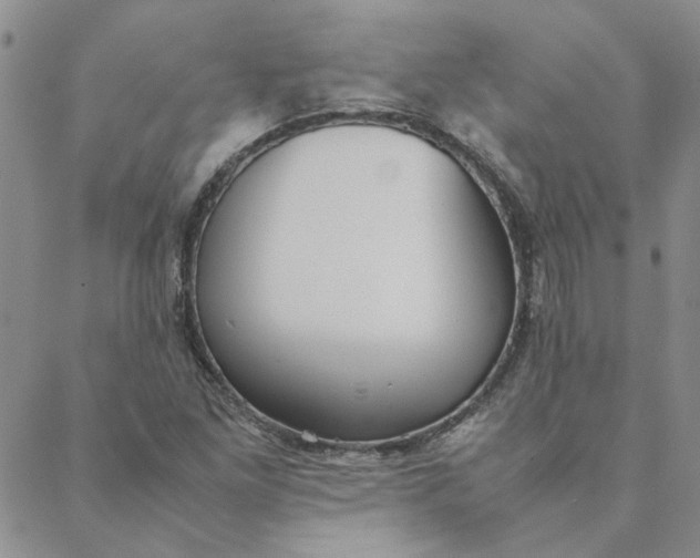 X0000088641261200706081603