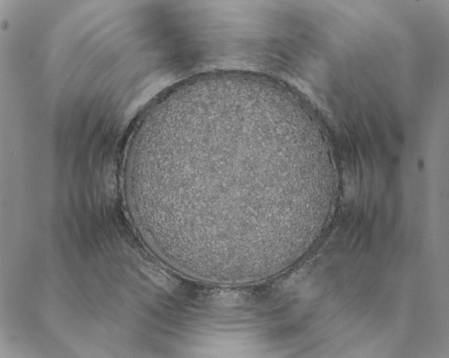 X0000088641266200706081603