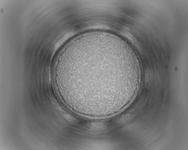 X0000088641274200706081603