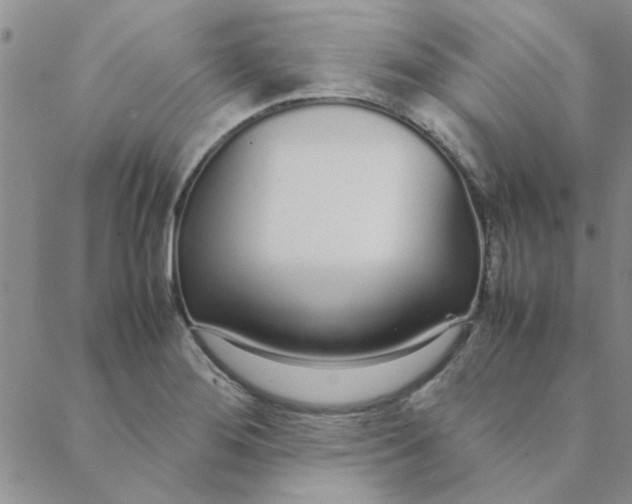 X0000088641276200706081603