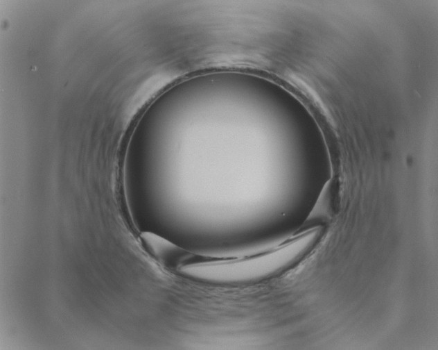 X0000088641277200706081603