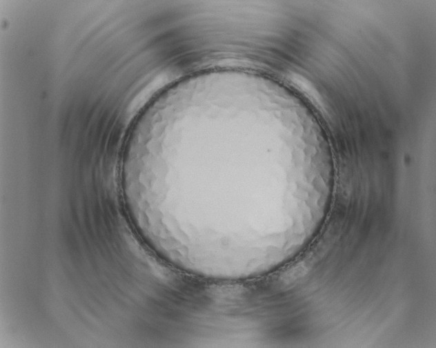 X0000088641282200706081603