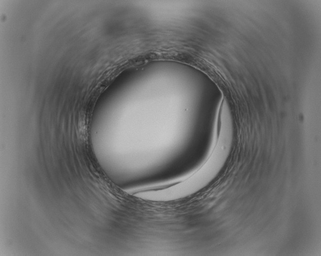 X0000088641298200706081602