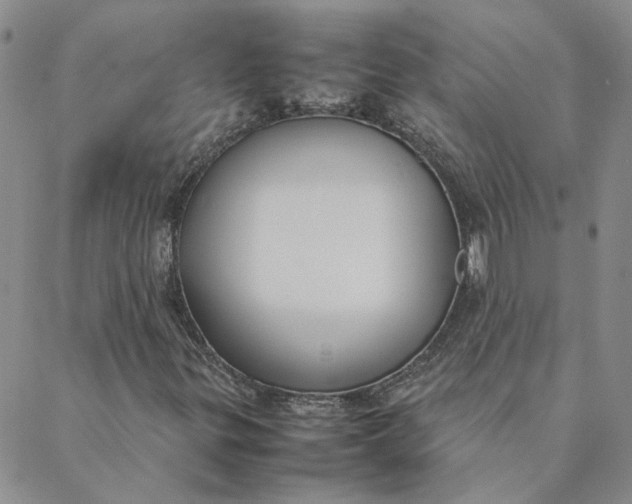 X0000088641299200706081602