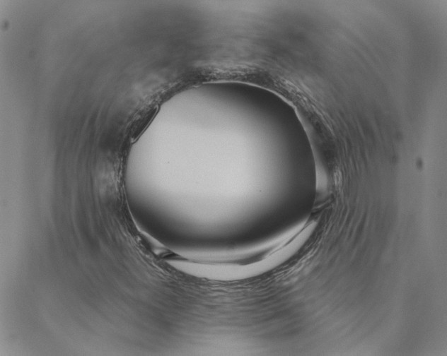 X0000088641300200706081602