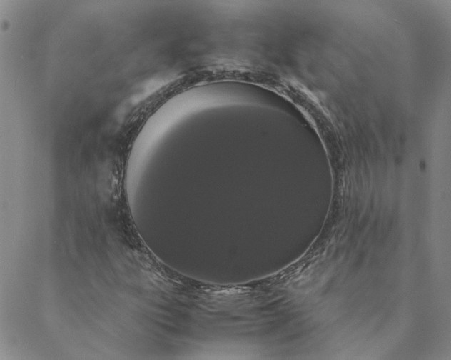 X0000088641303200706081602
