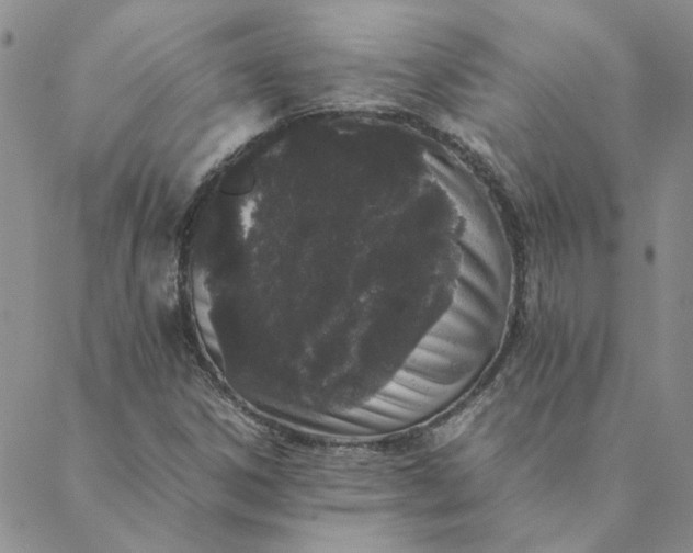 X0000088641306200706081602
