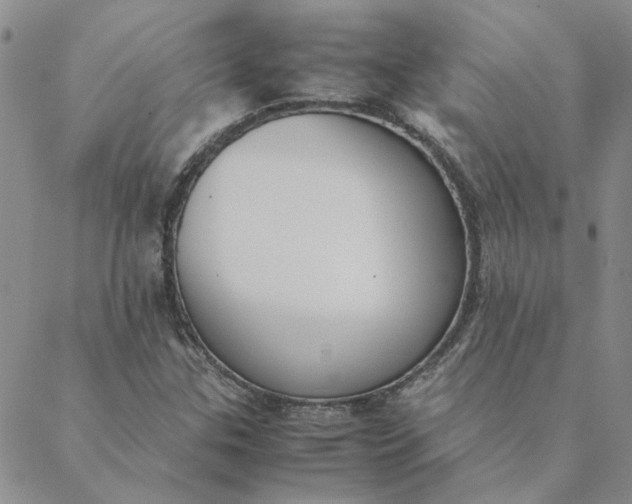 X0000088641307200706081602