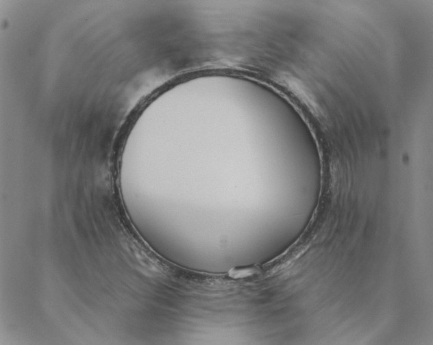 X0000088641308200706081602