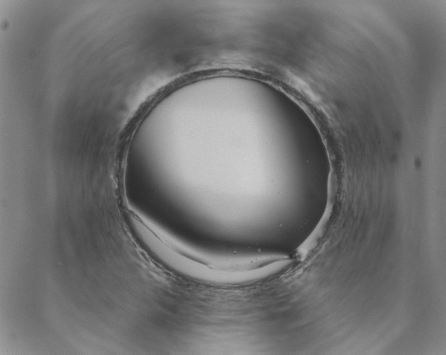 X0000088641312200706081602