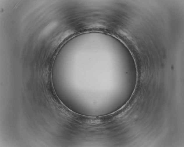 X0000088641313200706081602