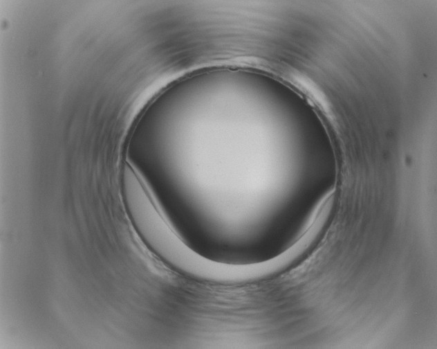 X0000088641332200706081602