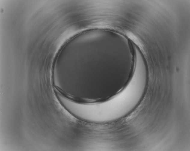 X0000088641334200706081602