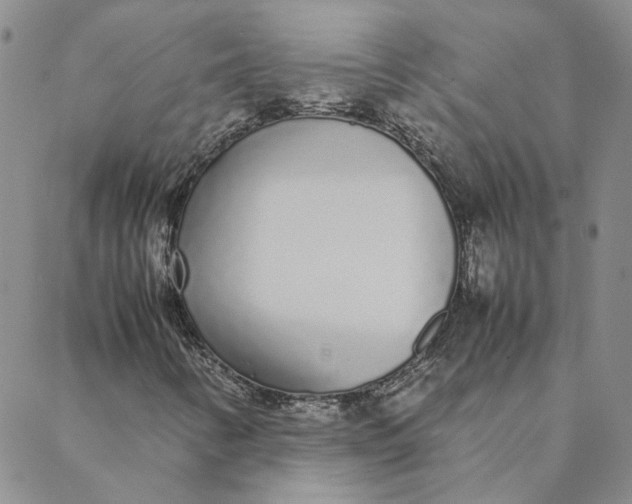 X0000088641346200706081602