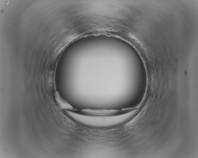 X0000088641361200706081601