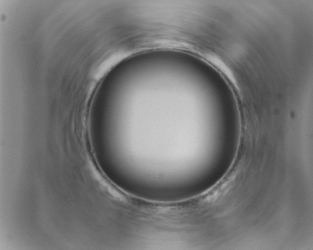 X0000088641381200706081601