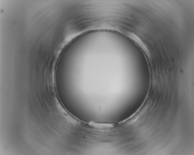 X0000088641388200706081601