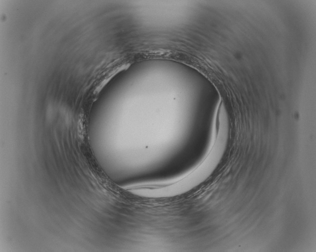 X0000088641394200706081600