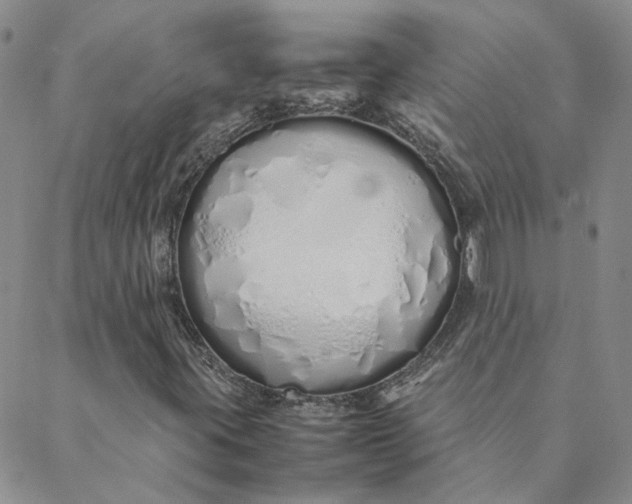 X0000088641395200706081600