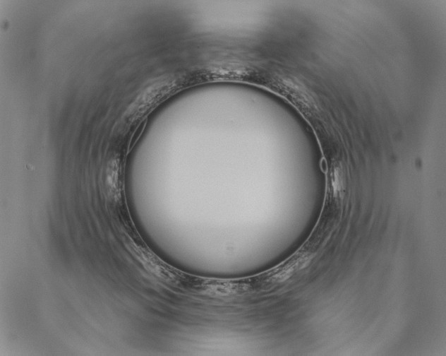 X0000088641396200706081600