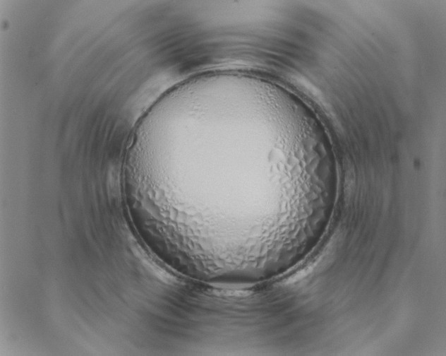 X0000088641417200706081600