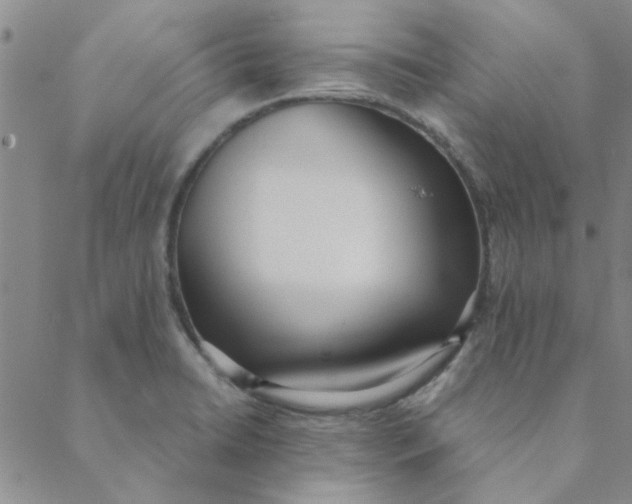 X0000088641422200706081601