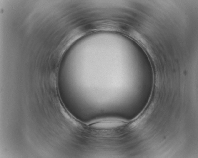 X0000088641433200706081601