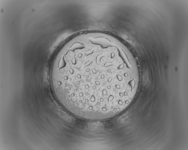 X0000088641454200706081600