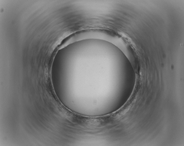 X0000088641457200706081600