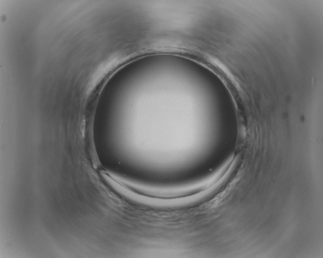 X0000088641461200706081600