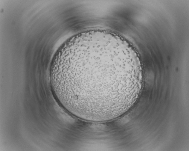 X0000088641466200706081600