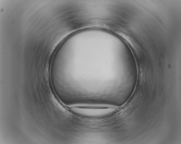 X0000088641468200706081600