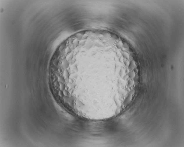 X0000088641471200706081600