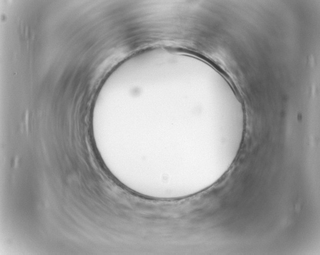 X0000088640001200706151954