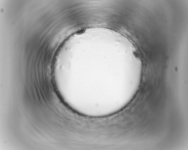 X0000088640002200706151954