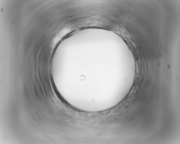 X0000088640003200706151954