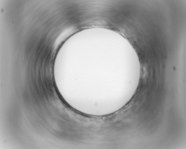 X0000088640004200706151954