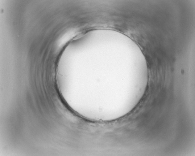 X0000088640005200706151954