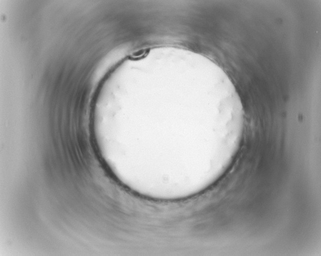 X0000088640006200706151954