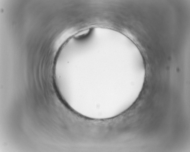 X0000088640007200706151954